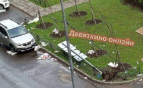 Сильный ветер повалил дорожный знак в Мурино