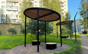 Беседки, горки и скамейки: во Всеволожске открыли новое общественное пространство