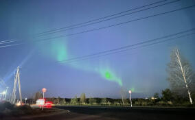 Жители Бугров засняли северное сияние