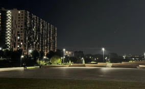 До конца недели в парке «Оккервиль» заменят дефектные плафоны