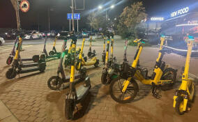 В Заневском поселении сократят число электросамокатов