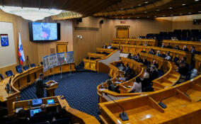 Градостроительный совет одобрил строительство многоэтажек в Кузьмолово и Новосаратовке