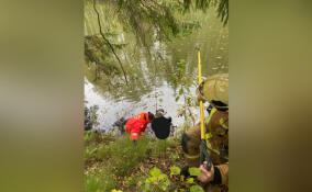 Тело человека нашли в водоеме в Сертолово