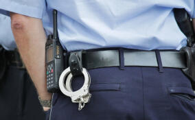 В садоводстве под Агалатово обокрали дом на 1,6 млн рублей