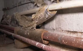 Жители Сертолово уже два года добиваются замены гнилых труб