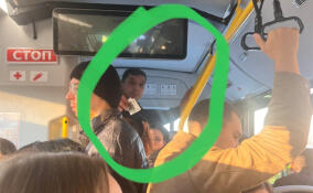 Водитель автобуса обматерил пассажирку в Кудрово