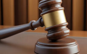 Подросток предстанет перед судом за выстрел в лицо мужчине в Васкелово