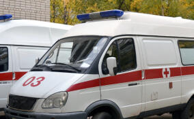 Сотрудники скорой не оказали помощь жителям Романовки