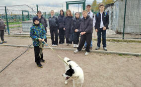 Всеволожские студенты посетили приют для животных