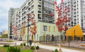 Жителей Всеволожска пригласили на конкурс муралов для новой детской площадки