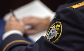 СК завел уголовное дело после нападения отца с ножом на сына в Новом Девяткино