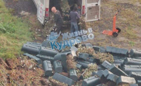 Администрация Заневки опровергла сообщения о «свалке» в парке «Оккервиль»