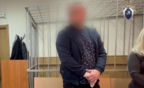 Суд арестовал жителя Нового Девяткино, чуть не убившего ножом своего сына