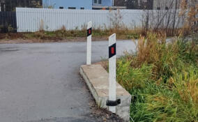 В Сарженке установили сигнальные столбики