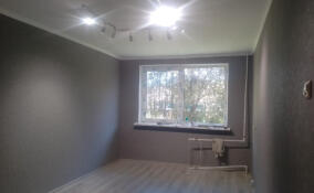 В библиотеке Лупполово отремонтировали полы и потолки