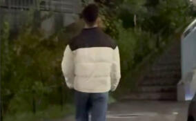 «Трогал за пятую точку»: жительница Мурино пожаловалась на домогательства от прохожего