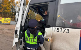 Сотрудники ГАИ проверили водителей автобусов во Всеволожском районе