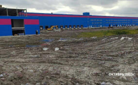 На стройке маркетплейса в Янино ликвидировали огромную свалку