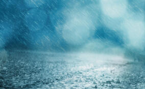 Во Всеволожском районе будет дождливо 16 октября