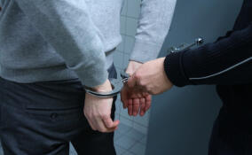 Мужчина выстрелил из «травмата» в пьяного охранника на Дороге Жизни