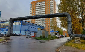 Во Всеволожске начали демонтировать теплотрассу на Александровской улице