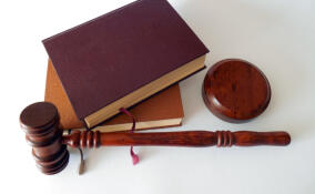 Суд вынесет приговор жителю Мурино, забившему до смерти женщину