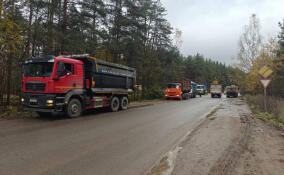 В Колтушском поселении незаконно сбрасывали строительный мусор