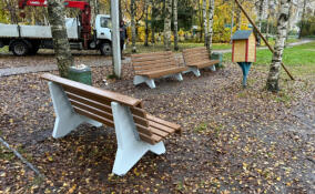 В Лупполово установили новые скамейки