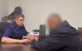 Житель Бугров предстанет перед судом за нападение на девушек