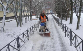 Заневское поселение получило реагенты для обработки дорог в зимний период