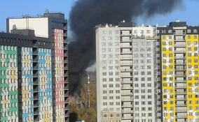 В Мурино загорелся деревянный заброшенный дом