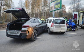 Водитель легковушки пострадал в ДТП на Колтушском шоссе