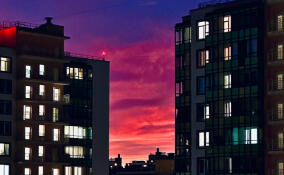 Жители Мурино засняли сине-малиновый закат