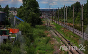 В Токсово сняли с поезда молодого зацепера