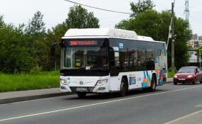 Проверка выявила нарушения на маршруте, соединяющем Кудрово и метро «Дыбенко»