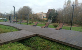 В Лупполово очистили пруд и приступили к ремонту набережной