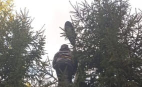 В Юкковском поселении отремонтировали фонари