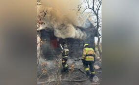 В садоводстве под Всеволожском сгорел дом