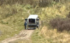 Возле КАД в Кудрово обнаружили мертвого человека