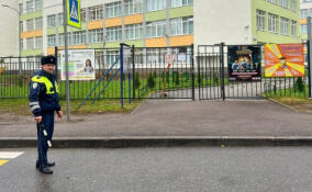 Сотрудники ГАИ провели беседу со школьниками Всеволожского района