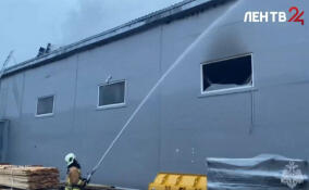 Спасатели локализовали пожар на 900 «квадратов» в Мурино