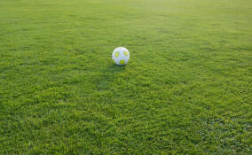 В Янино-1 разыграют Кубок Алексея Игонина