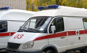 В Мурино умерла пятимесячная девочка