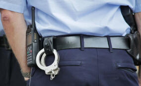 Полицейские задержали мужчину, ограбившего водителя такси в Янино-1