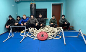 Школы и секции Кузьмоловского получили новый спортинвентарь