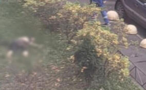 В Кудрово девушка погибла, выпав из окна