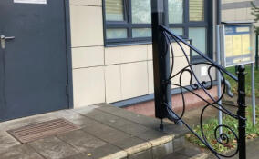 У амбулатории в Кузьмоловском установили перила