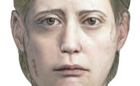 СК просит помощи в опознании женщины, останки которой нашли во Всеволожском районе