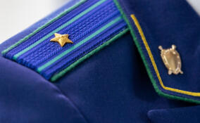 Прокуратура помогла списать долг обманутой пенсионерке