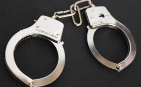 Прокуратура предъявила обвинение мужчине, напавшего на полицейского в Кудрово